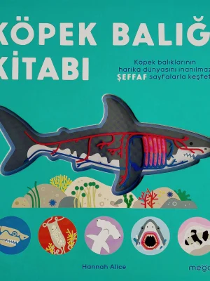 Köpek Balığı Kitabı